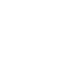 TikTok Icon
